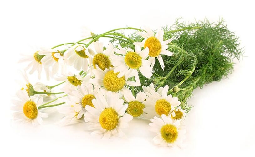 Chamomile is part of Gelarex